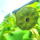 문현농장 이미지