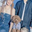 미헤어카페 이미지