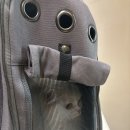 동물병원 오월의산책 이미지