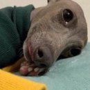 우와 뽑기방 이미지