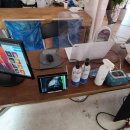 방역하기좋은날