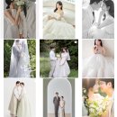 결혼일기4. 대전에서 웨딩스튜디오 고르기 (풍경 피아 그레이스케일 블리스데이더숲)