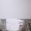달천분식
