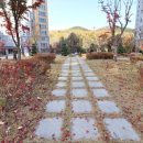 한림풀에버공인중개사사무소 이미지