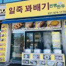 일죽꽈배기 네이버블로그