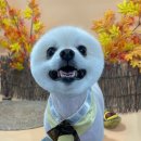 딱이네미용실 이미지