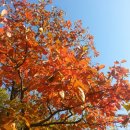 말구리농장 이미지