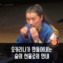 오카리나의 장인 소지로 내한공연 | 오카리나의 장인 소지로 내한공연, 오카리나가 만드는 숲의 선율로의 안내
