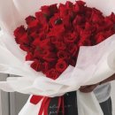 헬로동물병원 이미지