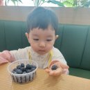김봉태농장 네이버블로그