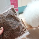 고기 여너 이미지