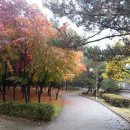 충숙근린공원 이미지