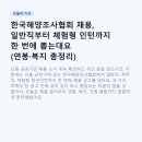 한국해양조사협회 | 한국해양조사협회 채용, 일반직부터 체험형 인턴까지 한 번에 뽑는대요 (연봉·복지 총정리)