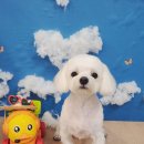 바다미용실 이미지