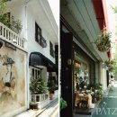 가로수빌딩 이미지