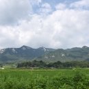 금원산자연휴양림 이미지