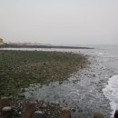 내도동 알작지왓 이미지