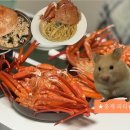 광성펜션 2 | [속초 홍게 택배] 광성홍게장군 살수율 100% 박달 홍게 후기｜내장 파스타 &amp; 내장 버터 볶음밥 레시피...