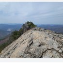 11월 제341차 정기산행 안내: 옹강산(翁江山832m), 경북 청도군, 경주시 이미지