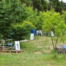 아침초원 목장 이미지