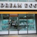드림독 강아지분양 안심분양센터 김포점 이미지