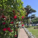 CU연수행복 이미지