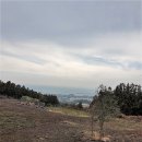 서호동-60 이미지