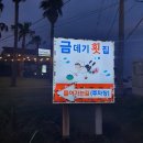 금데기식당 | [제주도 횟집] 금데기 횟집 / 내돈내산 후기