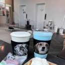 독플러스 이미지