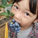 시아농장 이미지