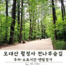 월정사 전나무숲길 코스 | 오대산 주차·소요시간·맨발걷기·주요 포인트