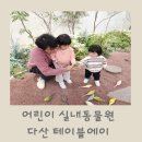 테이블에이 놀이터 이미지