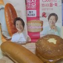 GS25목포태율점 | GS25 편의점 빵 추천 혜자로운 버터크림빵 vs 딸기카스테라 비교 후기