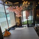 그로우펫 이미지