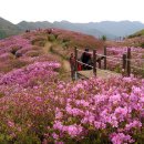 운봉한우
