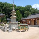 양천초등학교 이미지