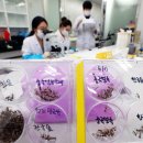 질병퇴치연구원 이미지