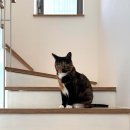 소소건축사사무소 이미지