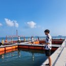 왜목마을좌대낚시터 이미지