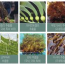 리뷰헤어 - 수원시 영통구 | 리뷰헤어