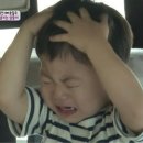 다보이는세상 이미지