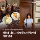 카페알마 | 해운대 마린시티 핫플 카페 알마 부산 유럽 감성 솔직 후기