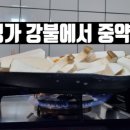 씨케이글로벌(주)