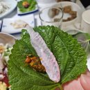 돌고래회식당 - 포항시 북구 해안로 213 | 돌고래회식당