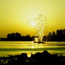 황금물결 이미지