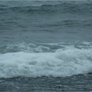 효돈동-2 이미지