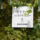 판교대게 먹으러 다녀온 집게집 매우 만족하고 온 후기