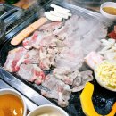 도야지 친구들 이미지