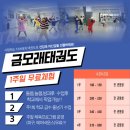 금모래 태권도장 이미지