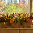 풍무초병설유치원 이미지